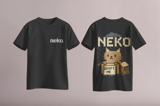 Homeless Neko